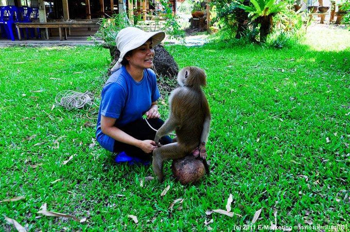 Ruean Thai Nai Bang By Pansak Resort Surat Thani Exterior foto